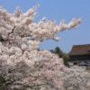桜の名所吉野山をハイキングで巡る  世界遺産 奈良・吉野のおすすめ観光スポット37選