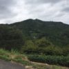 高尾山(675.1m)  笠張山(698m)  菩提山(691m) ・静岡県藤枝市