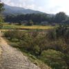 山辺の道（やまのべのみち）日本最古の道・奈良県天理市 桜井市