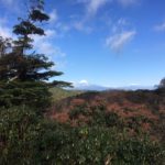 猫越岳(1034m) 猿山(1000m)・浄蓮の滝 天城の太郎杉