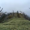 丸盆岳(2066m) 黒法師岳(2068m)・シブロク歩道〜等高尾根