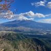 天子ヶ岳(1330m) 白水山(811m) 天子山地・上稲子より周回